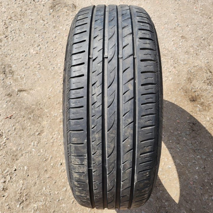 Roadstone Eurovis Sport 04 225/55 R17 101W XL