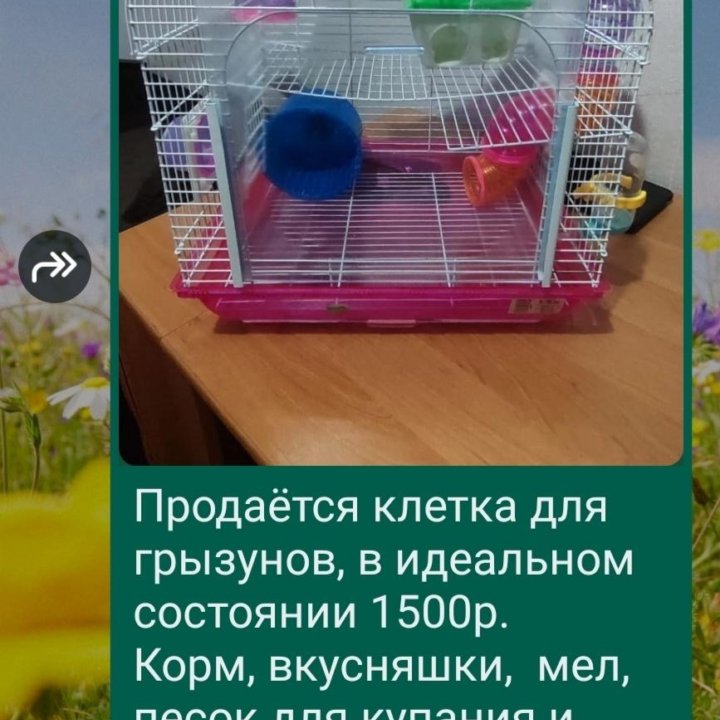 Клетка для грызунов