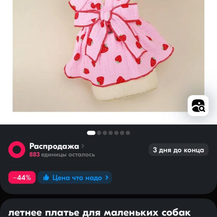 Одежда для собак