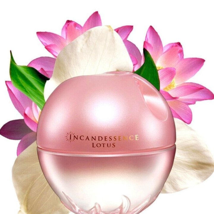 Incandessence Lotus оригинал