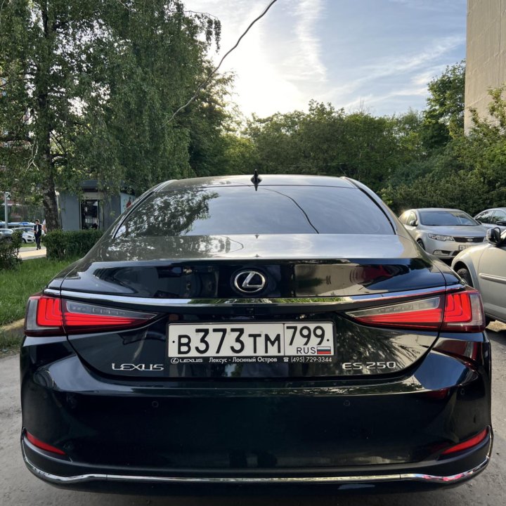 Lexus ES, 2019