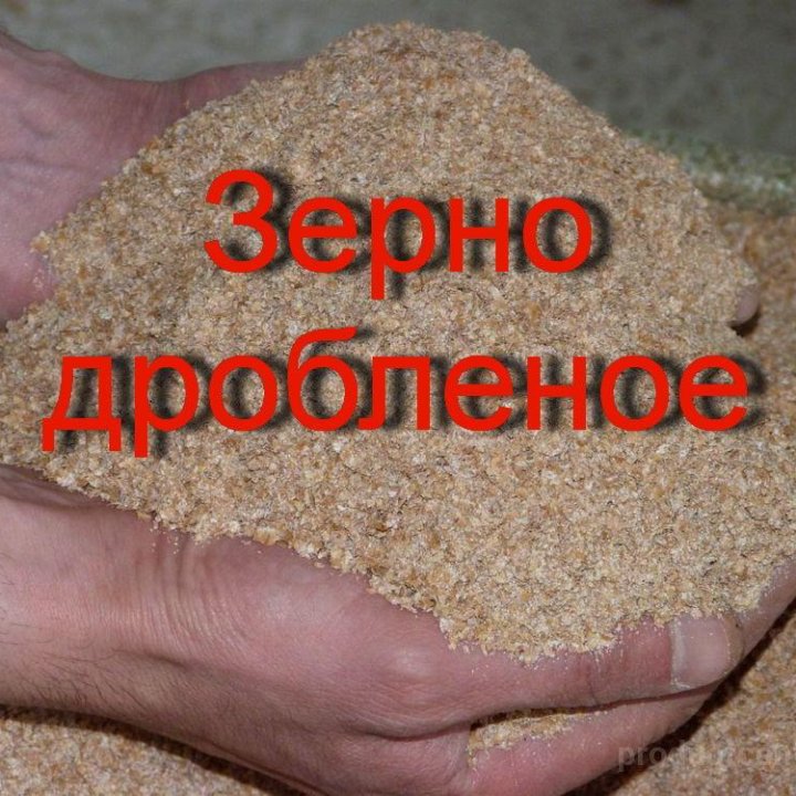 Продаю зерно дробленое