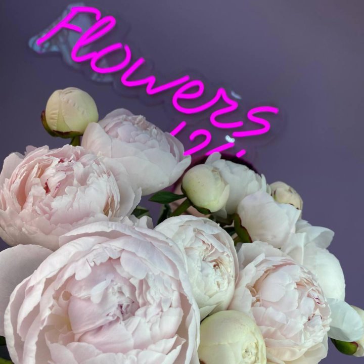 Пионы цветы с доставкой Flowers 124