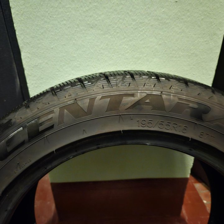 Centara Winter 621 Шины зимние 195/55 R16 87T