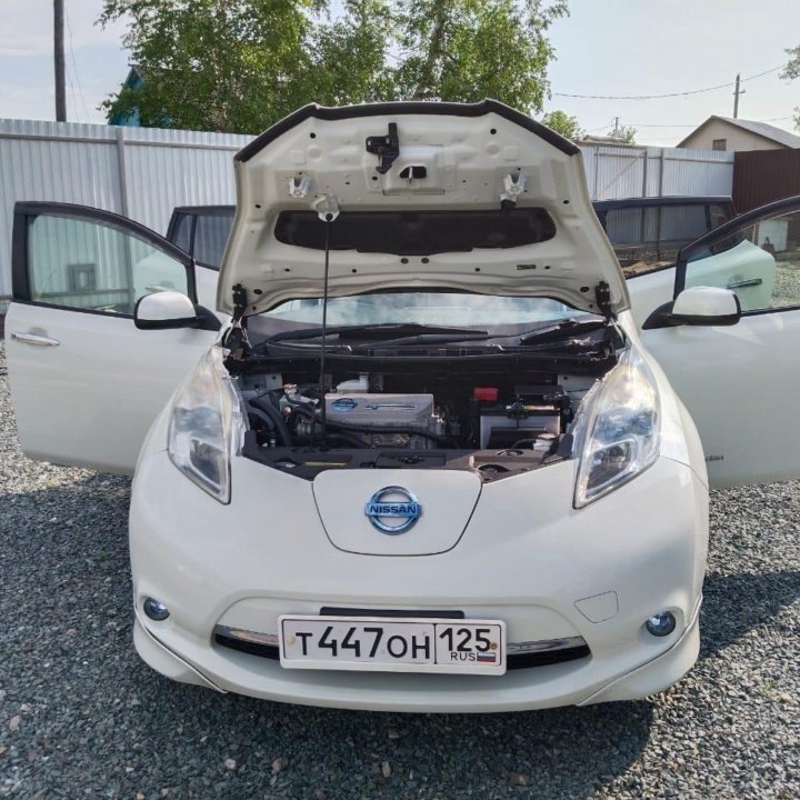 Nissan Leaf, 2011