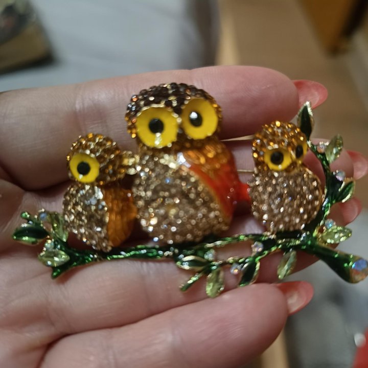 Красивая брошь