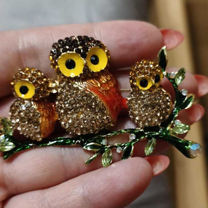 Красивая брошь