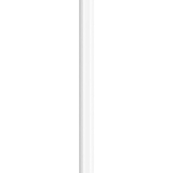 Apple Pencil (2nd gen)