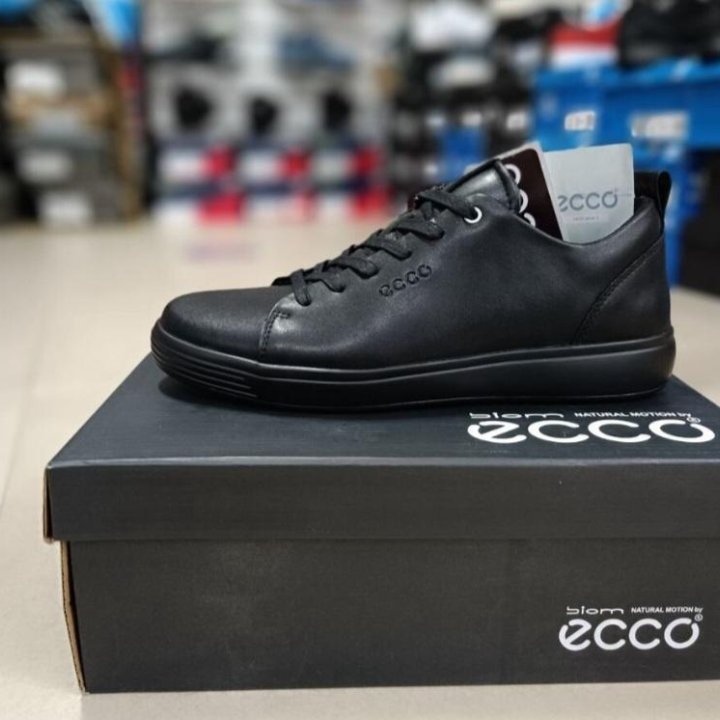 Кеды Ecco