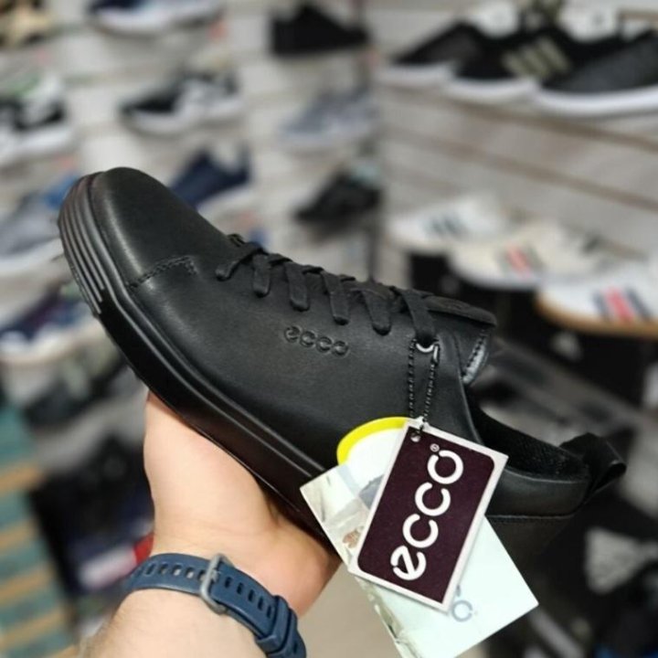 Кеды Ecco