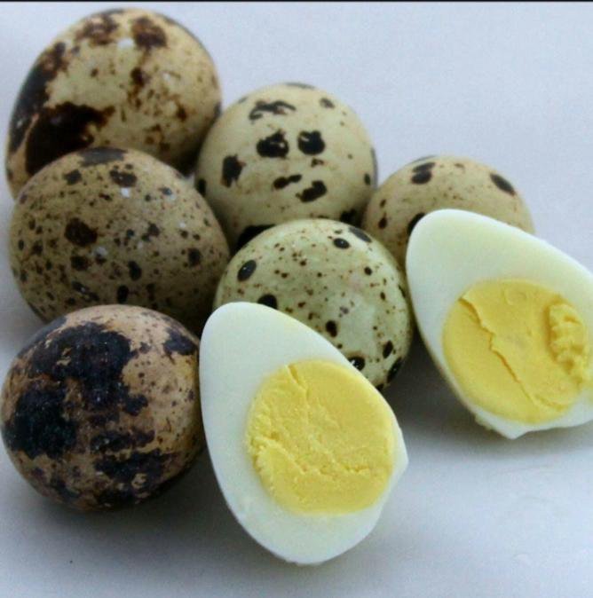 Перепелиные яйца