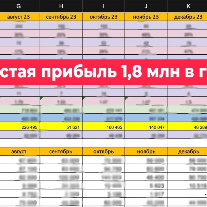 Школа музыки с чистой прибылью 1,8 млн в год