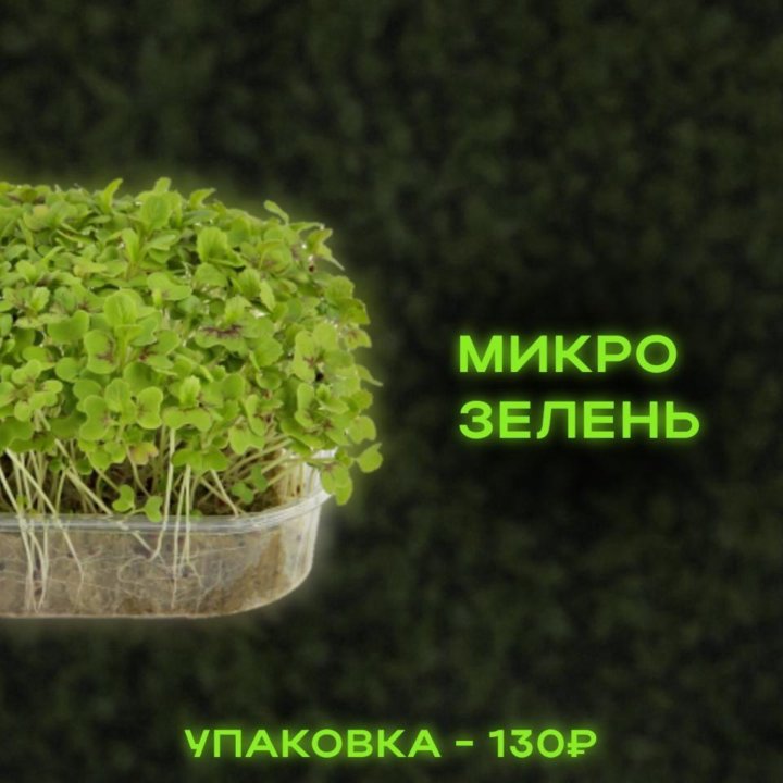 Микрозелень