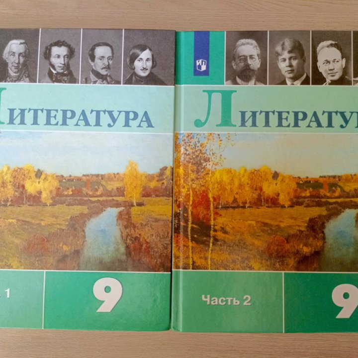 Литература 9 класс