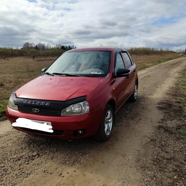 ВАЗ (Lada) Kalina, 2009