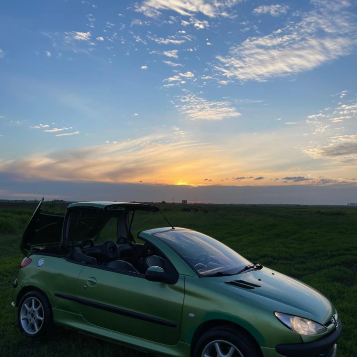 Peugeot 206, 2003