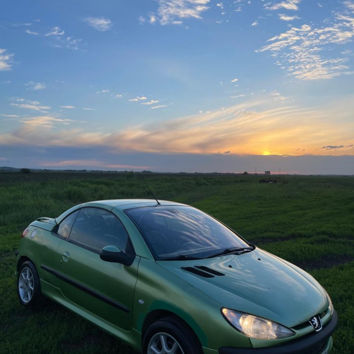 Peugeot 206, 2003