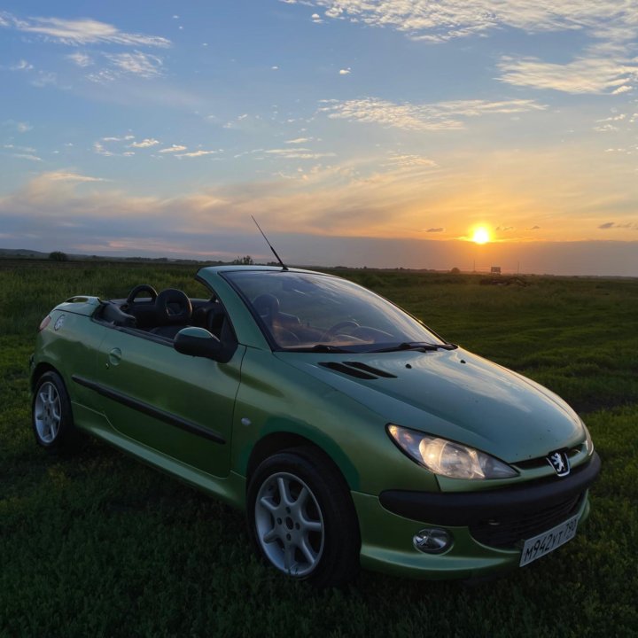 Peugeot 206, 2003