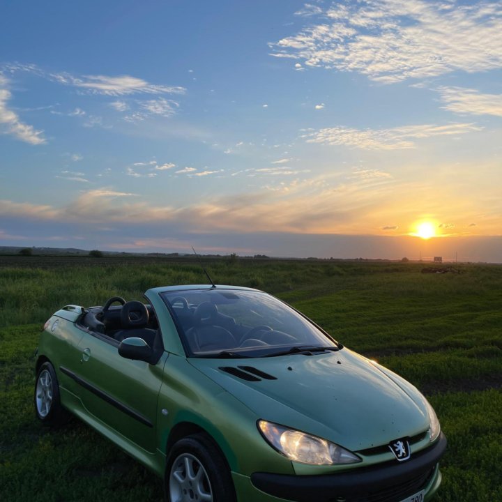 Peugeot 206, 2003
