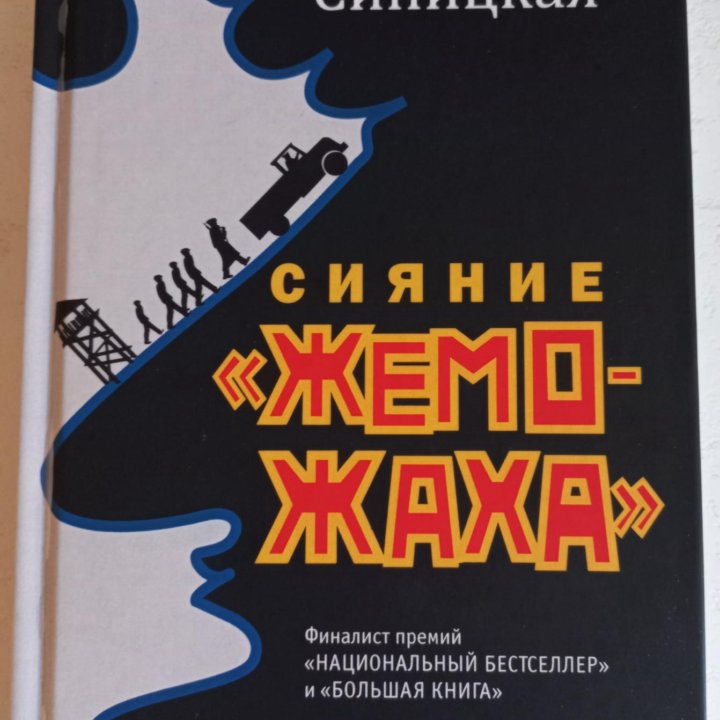 София Синицкая, книга 