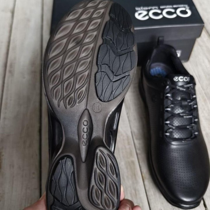 Кроссовки Ecco Biom