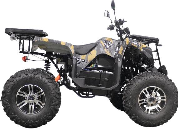 Квадроцикл MOTAX ATV GRIZLIK E3000 R