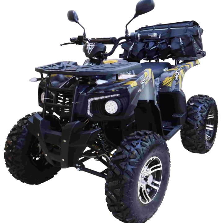 Квадроцикл MOTAX ATV GRIZLIK E3000 R