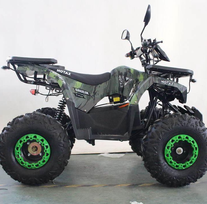 Электроквадроцикл MOTAX ATV GRIZLIK E1500 R