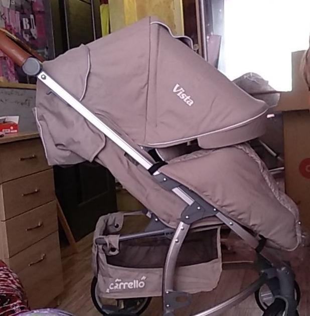 Прогулочная коляска Carrello Vista CRL-8505 