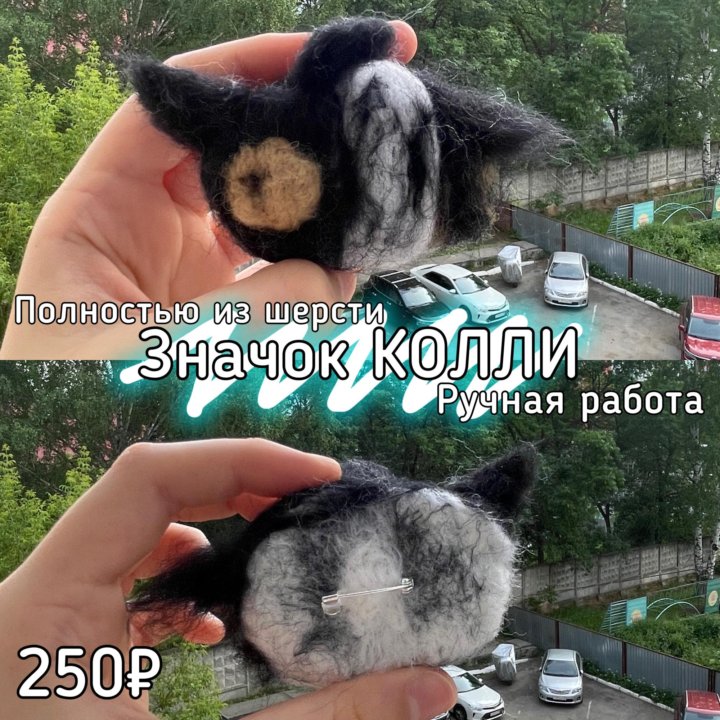 Значок КОЛЛИ