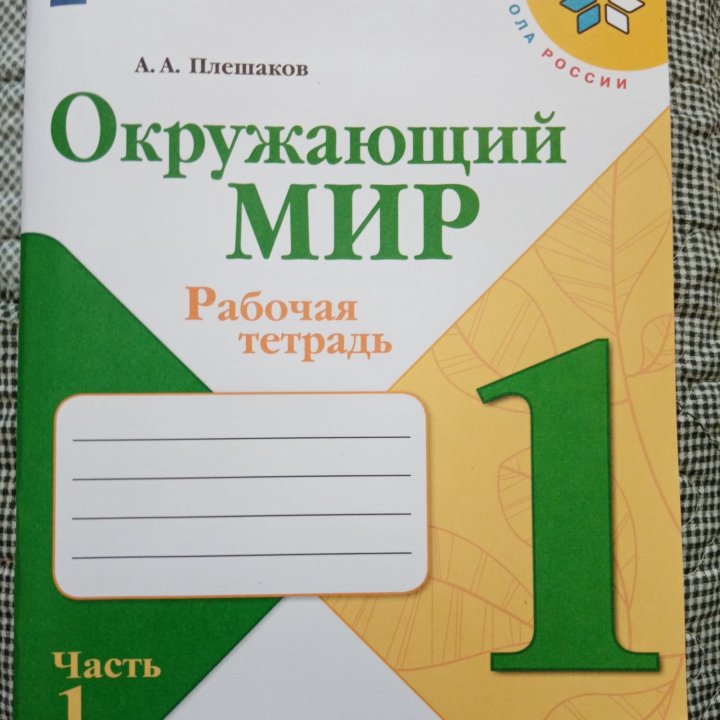 Рабочая тетрадь Окружающий мир 1 класс