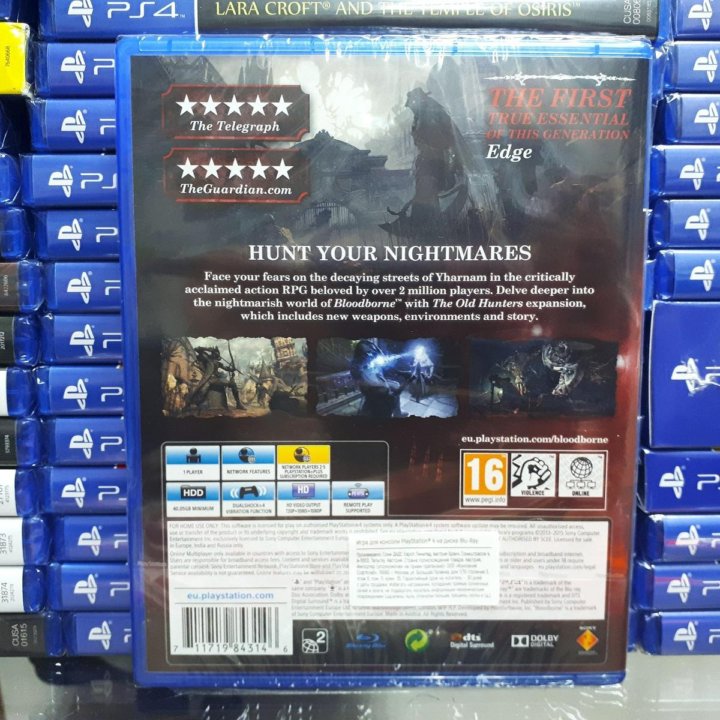 Bloodborne Порождение крови GOTY Edition PS4