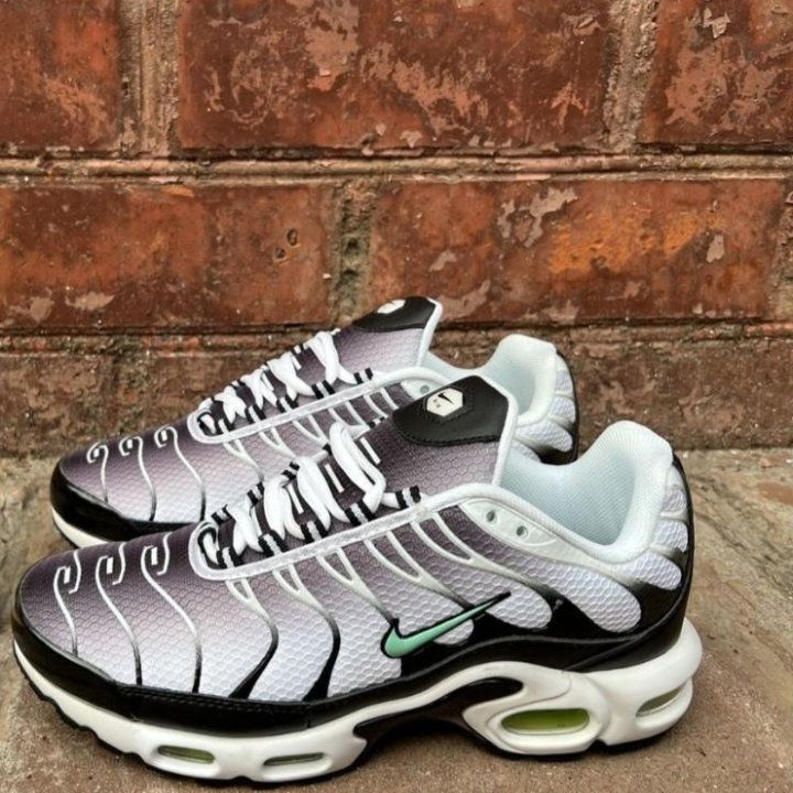 Кроссовки Nike Air Max Tn Plus