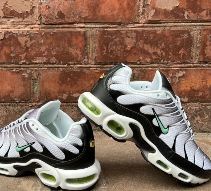 Кроссовки Nike Air Max Tn Plus