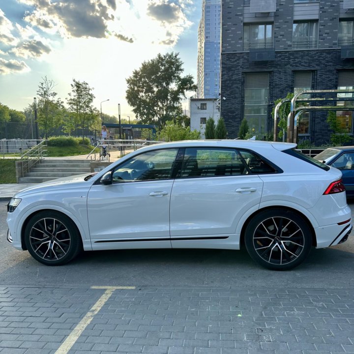 Audi Q8, 2019