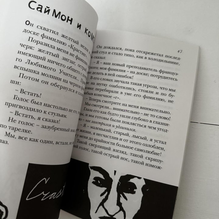 Книга Д. Пеннак Камо идея века