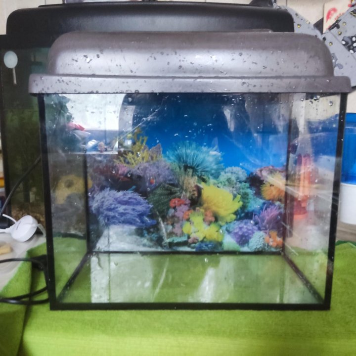 Аквариум+фильтр