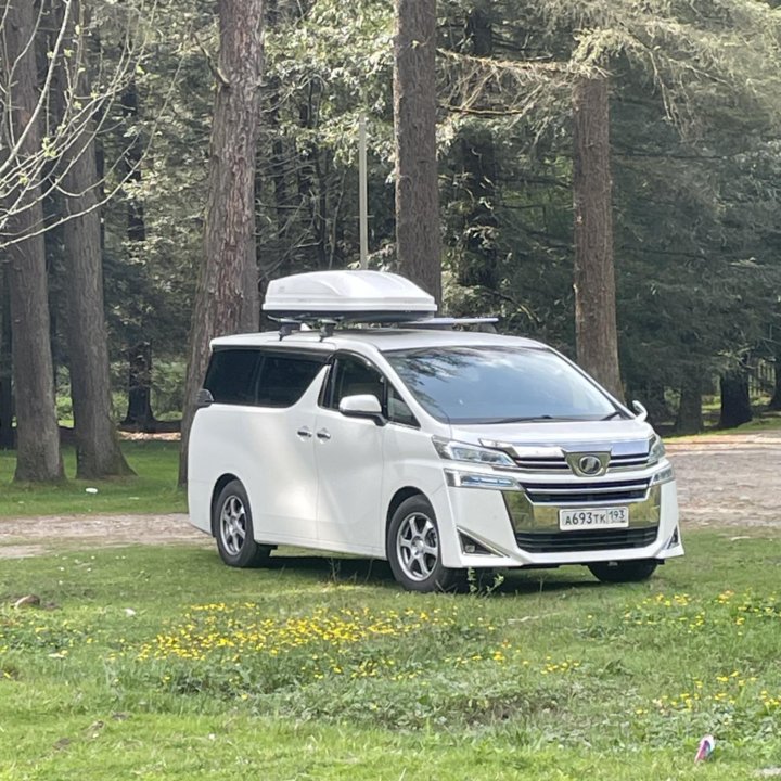 Toyota Vellfire, 2019