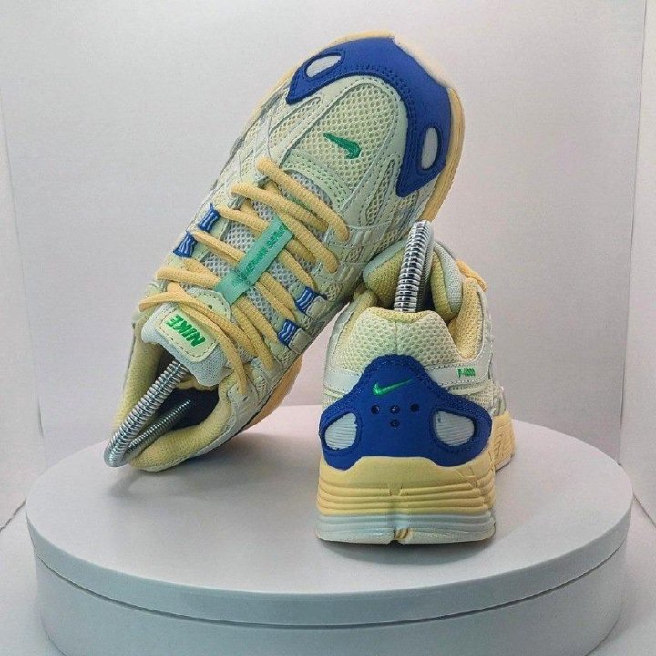 Кроссовки Nike P6000