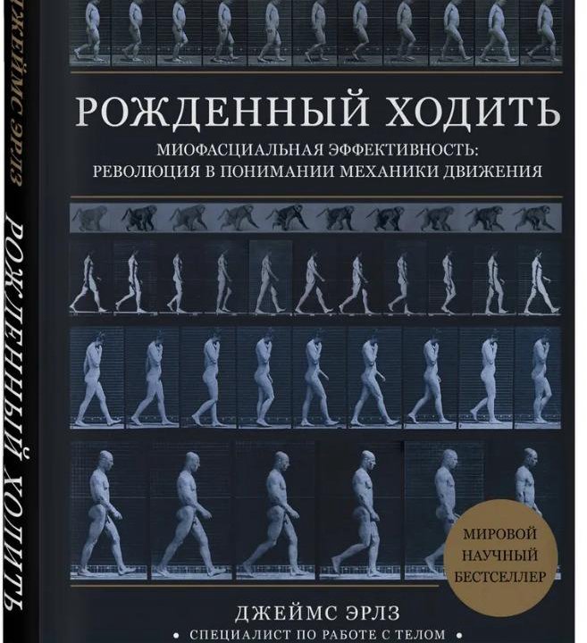 Рожденный ходить. Миофасциальная эффективность: