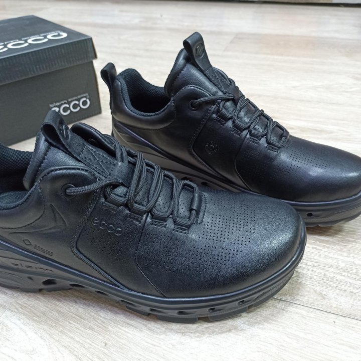 Ecco Biom Venture