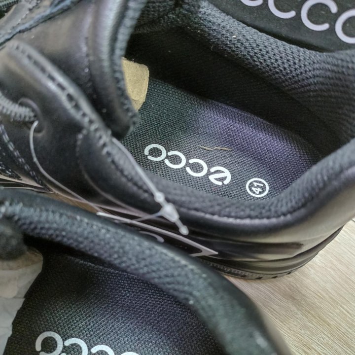 Ecco Biom Venture