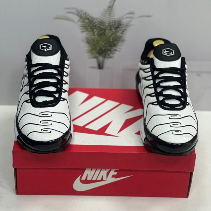 Кроссовки Nike Air Max Tn Plus