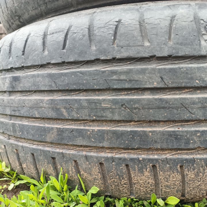 Nokian Hakka Z, 215/55/17 поштучно