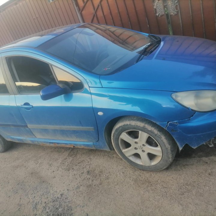 Peugeot 307, 2002