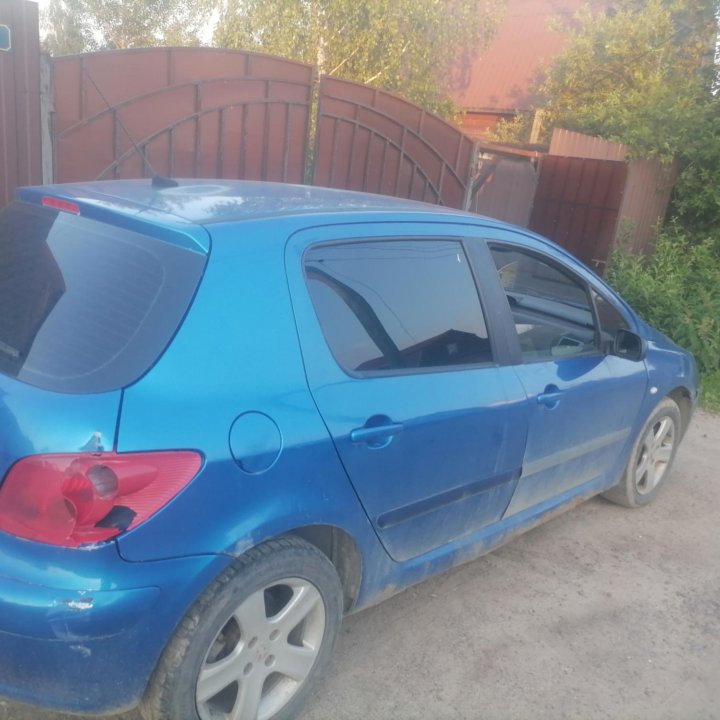 Peugeot 307, 2002