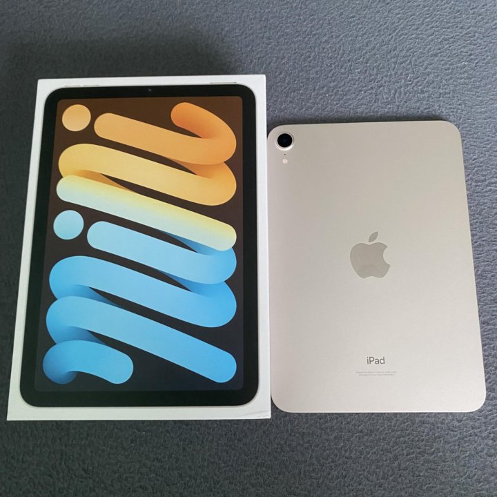 ipad mini 6