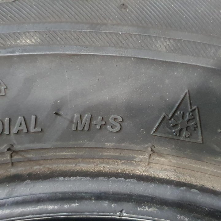 145/80/12 Bridgestone VRX (2018 год).