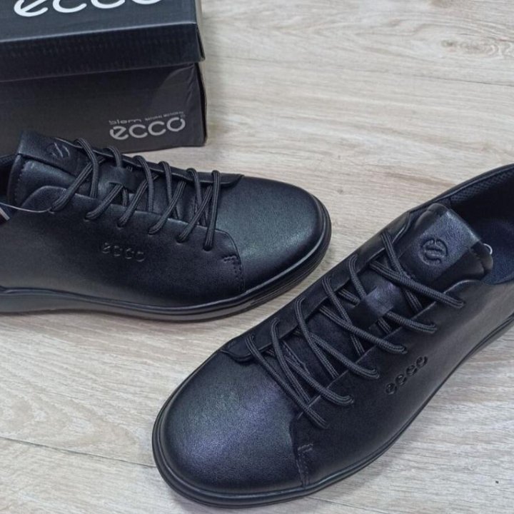 Кеды Ecco