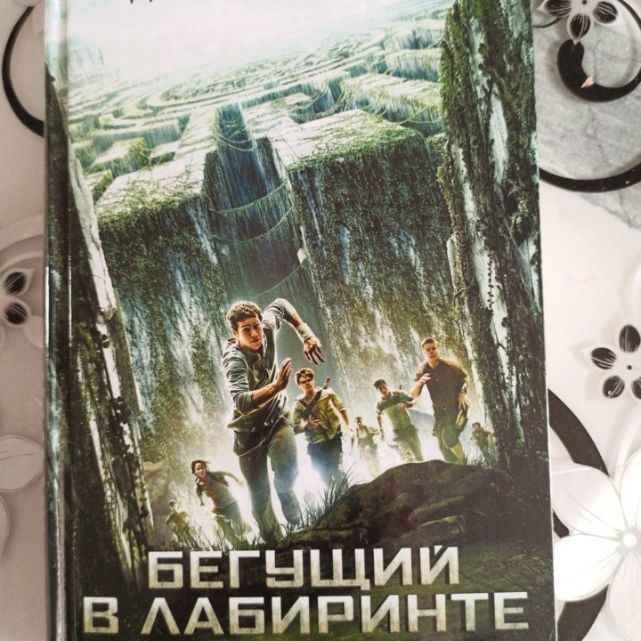 Книга Бегущий в лабиринте